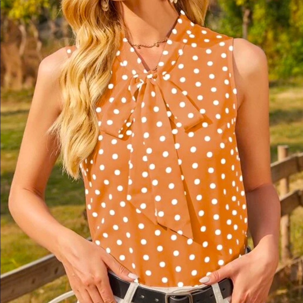 Polka Dot Tie Neck Blouse